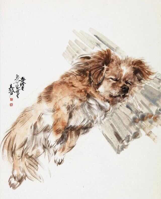 今期生肖讲故事吼中杂狗全可收是什么生肖全面释义、定量解答解释落实